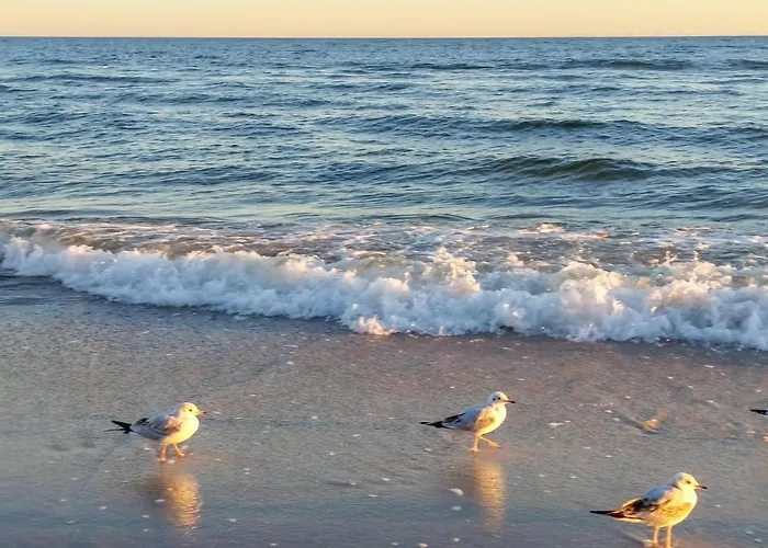 Lovely In With Sauna *